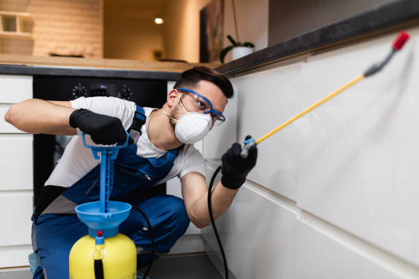 Best Pest Removal Services  in Ellinwood, KS