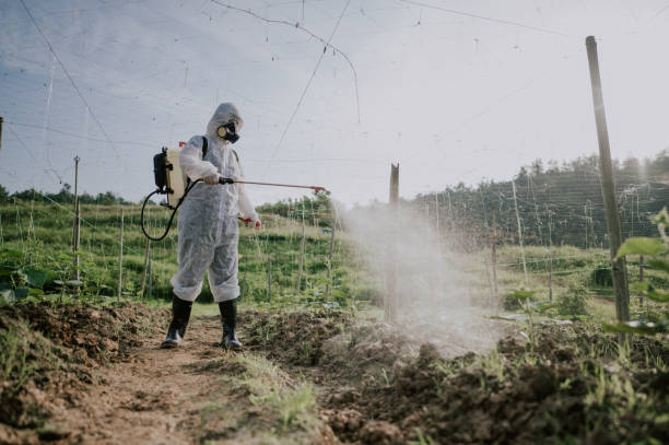 Best Pest Removal Services  in Ellinwood, KS