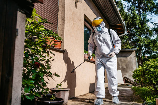 Best Rat Extermination Near Me  in Ellinwood, KS