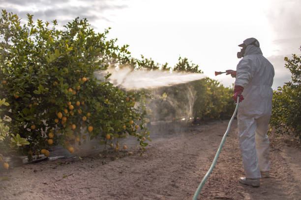 Pest Control Cost in Ellinwood, KS