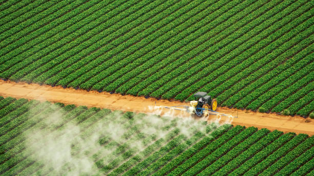 Best Pest Inspection Near Me  in Ellinwood, KS
