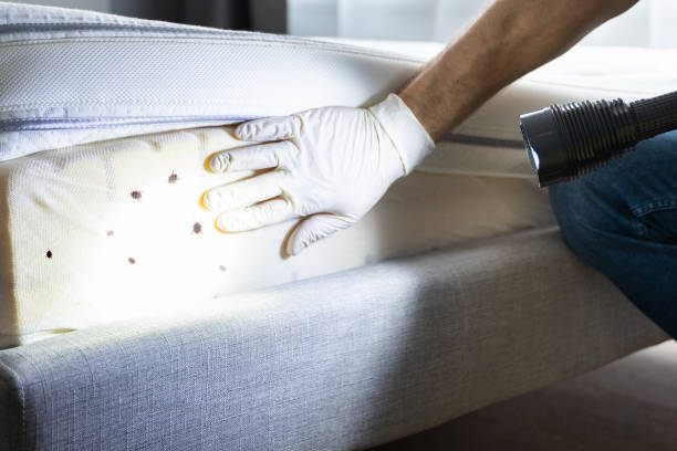 Best Bed Bug Extermination  in Ellinwood, KS