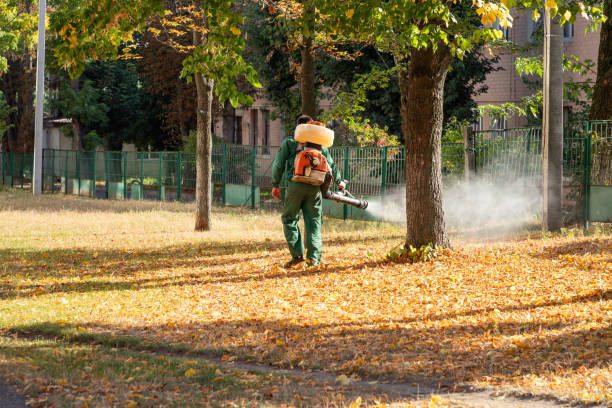 Best Affordable Pest Control Services  in Ellinwood, KS