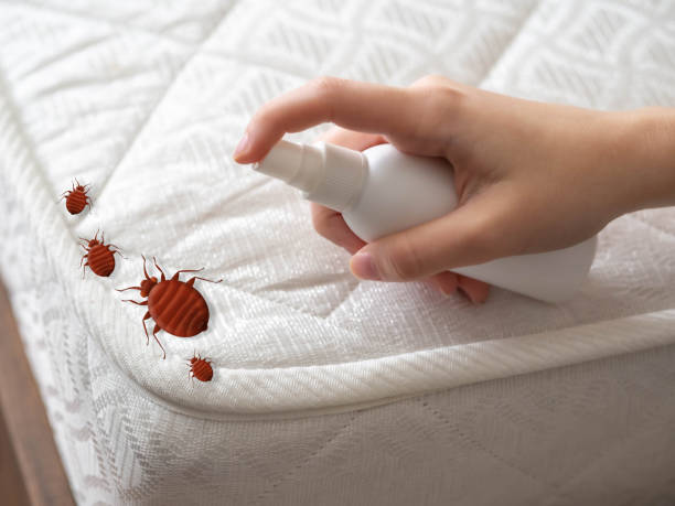 Best Mosquito Control Services  in Ellinwood, KS