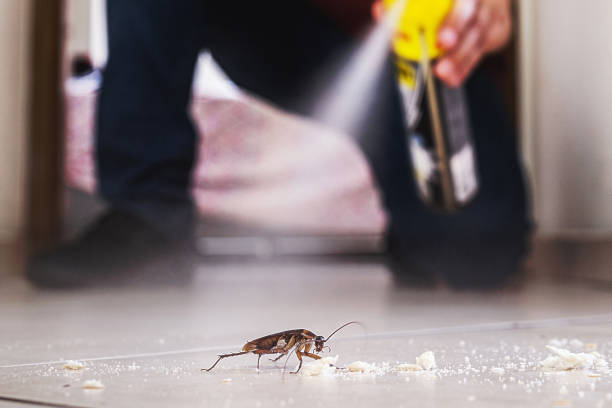 Best Wasp Removal Services  in Ellinwood, KS