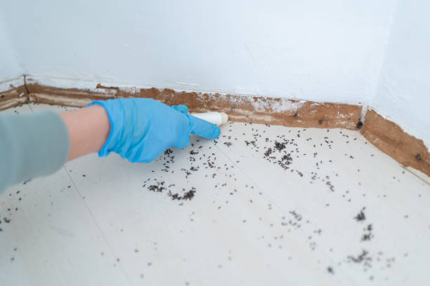 Best Emergency Pest Control  in Ellinwood, KS